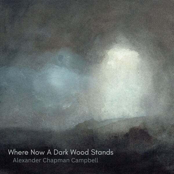 Cover art for Where Now a Dark Wood Stands